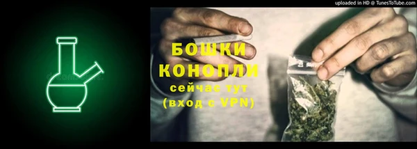 крисы Арсеньев