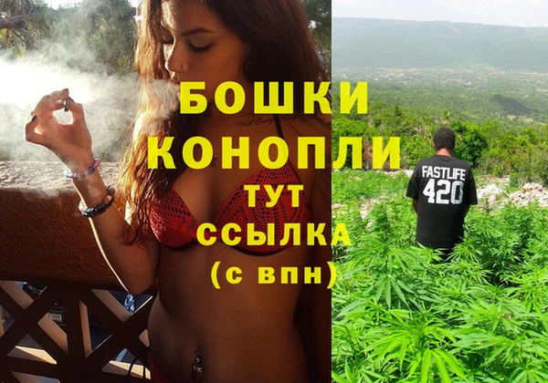 индика Аркадак
