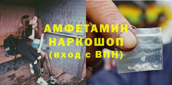 индика Аркадак
