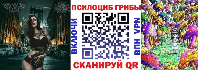 Псилоцибиновые грибы Magic Shrooms  закладки  Грязи 
